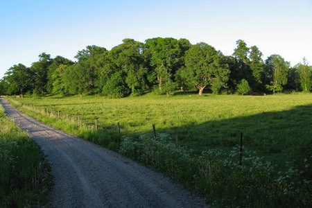 Billingens naturreservat, Strömsholm