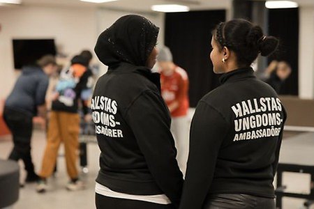 Ungdomsambassadörerna gör ett fint jobb